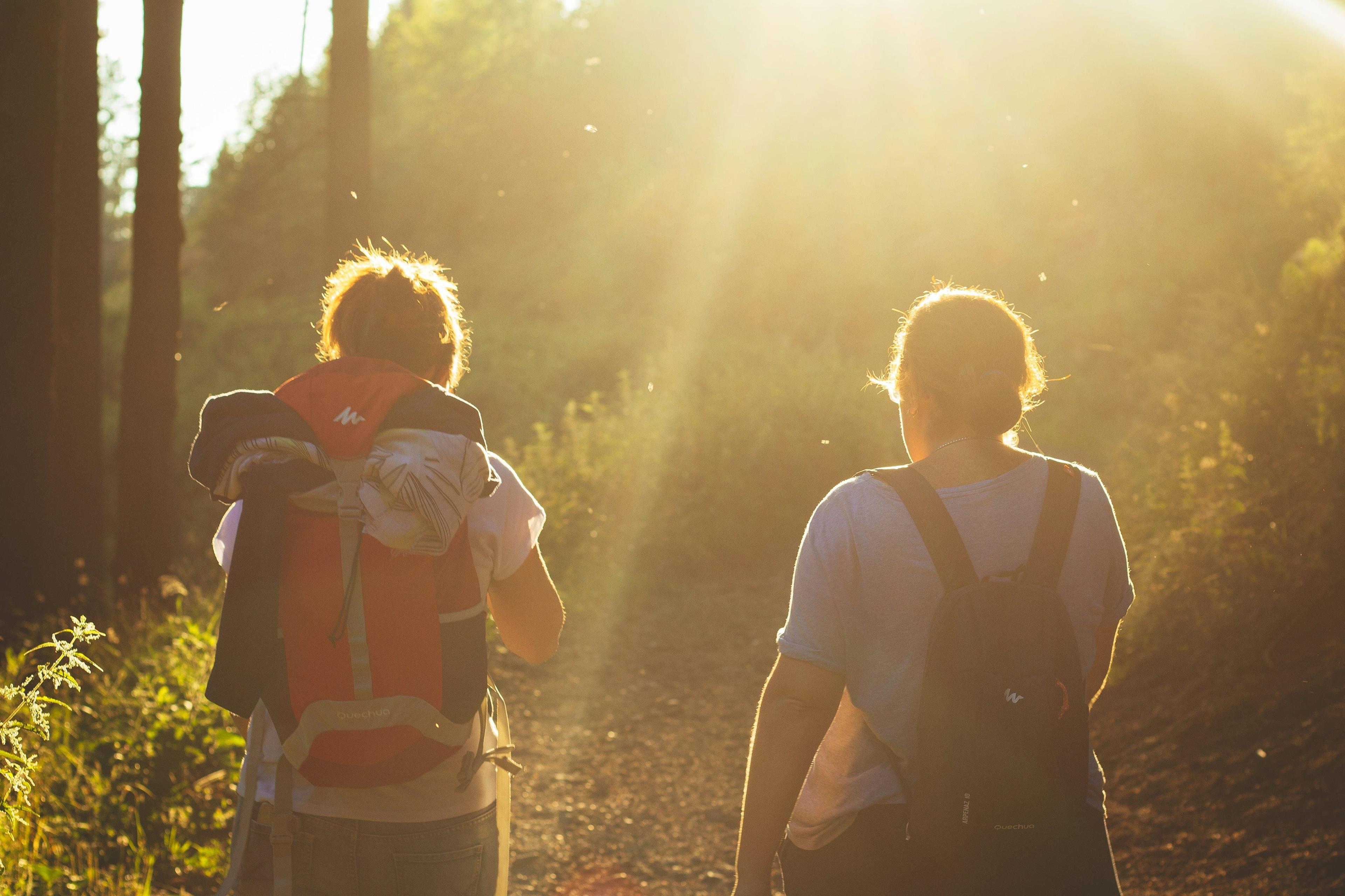 Zwei Freunde am Wandern im Wald